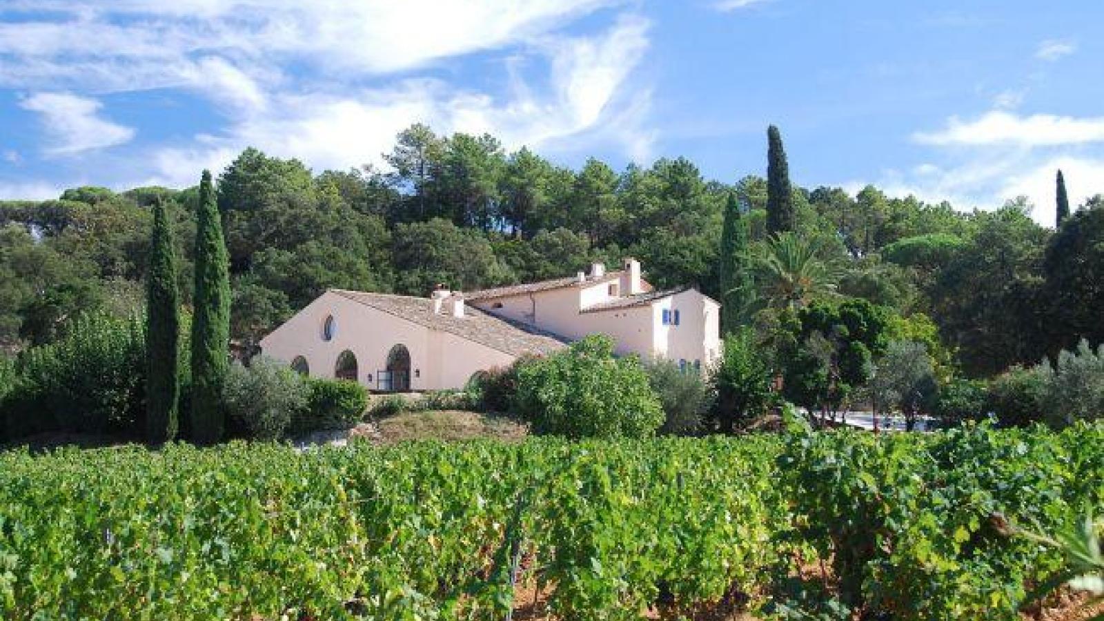 The vineyards of Saint-Tropez , flagship of the French Riviera
